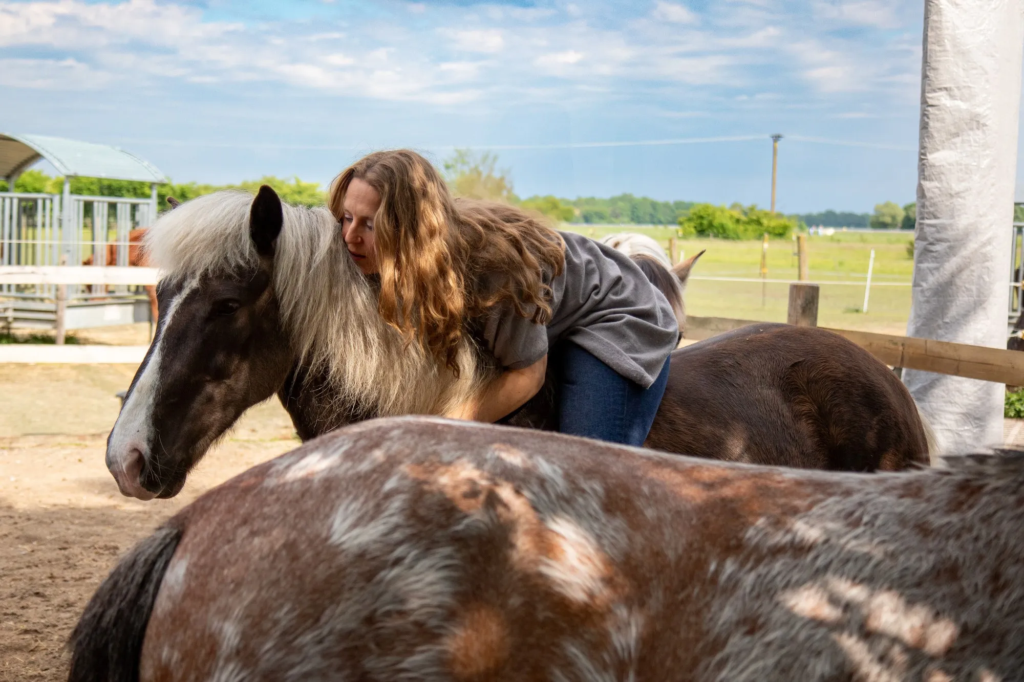 Barbara Maria Placht umarmt ein Pony ihrer Herde